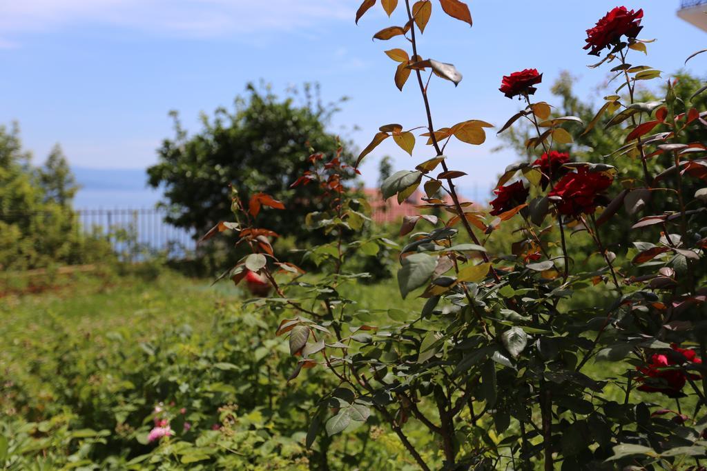 Villa Vera Ičići Exteriér fotografie